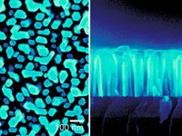 Diese Nanofasern aus Indium-Gallium-Nitrid zeigen einen relativ hohen Photostrom. An der Grenzfläche der Nanodrähte spaltet sich aus Wasser der Wasserstoff ab. | Bild: PDI