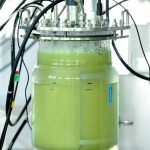 Bioreactor_at-Electrochaea_laboratory-cElectrochaea_GmbH-150x150