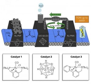 Boston College researchers used three different catalysts in one system to transform, in three steps, the greenhouse gas carbon dioxide to methanol, a liquid fuel that serves as a promising method for hydrogen storage. The first catalyst converts carbon dioxide and hydrogen to formic acid, which is then modified by a second catalyst to form an ester, incorporating an alcohol additive and producing water. The third catalyst in the system, which is typically incompatible with the first catalyst, then converts this ester to methanol. The team was able to perform this multistep reaction in one reaction vessel despite using two incompatible catalysts by encapsulating one in a porous framework that also acts as the second catalyst. Credit: Frank Tsung