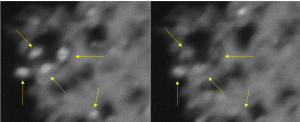  The arrows point to titanium dioxide nanocrystals lighting up and blinking (left) and then fading (right). Images: Tewodros Asefa and Eliska Mikmekova