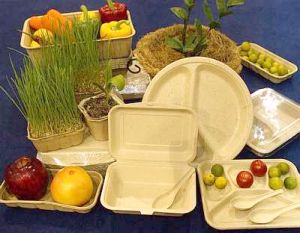 Resultado de imagen para food packaging biodegradable